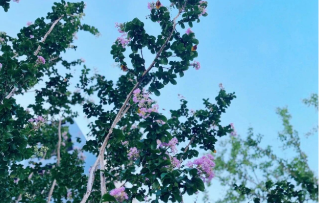 1763966672296308.png image.png